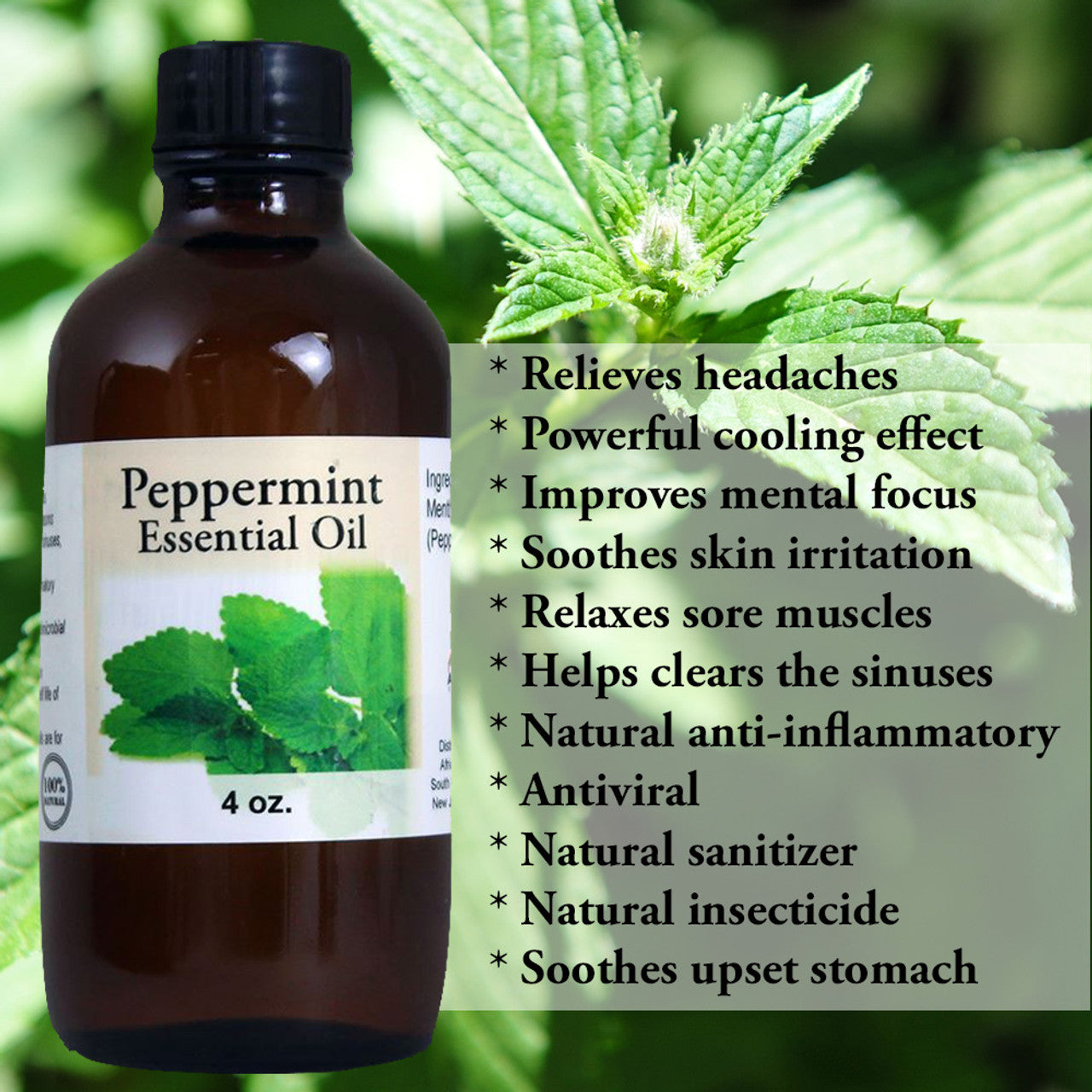 Peppermint (Mentha Arvensis) Essential Oil