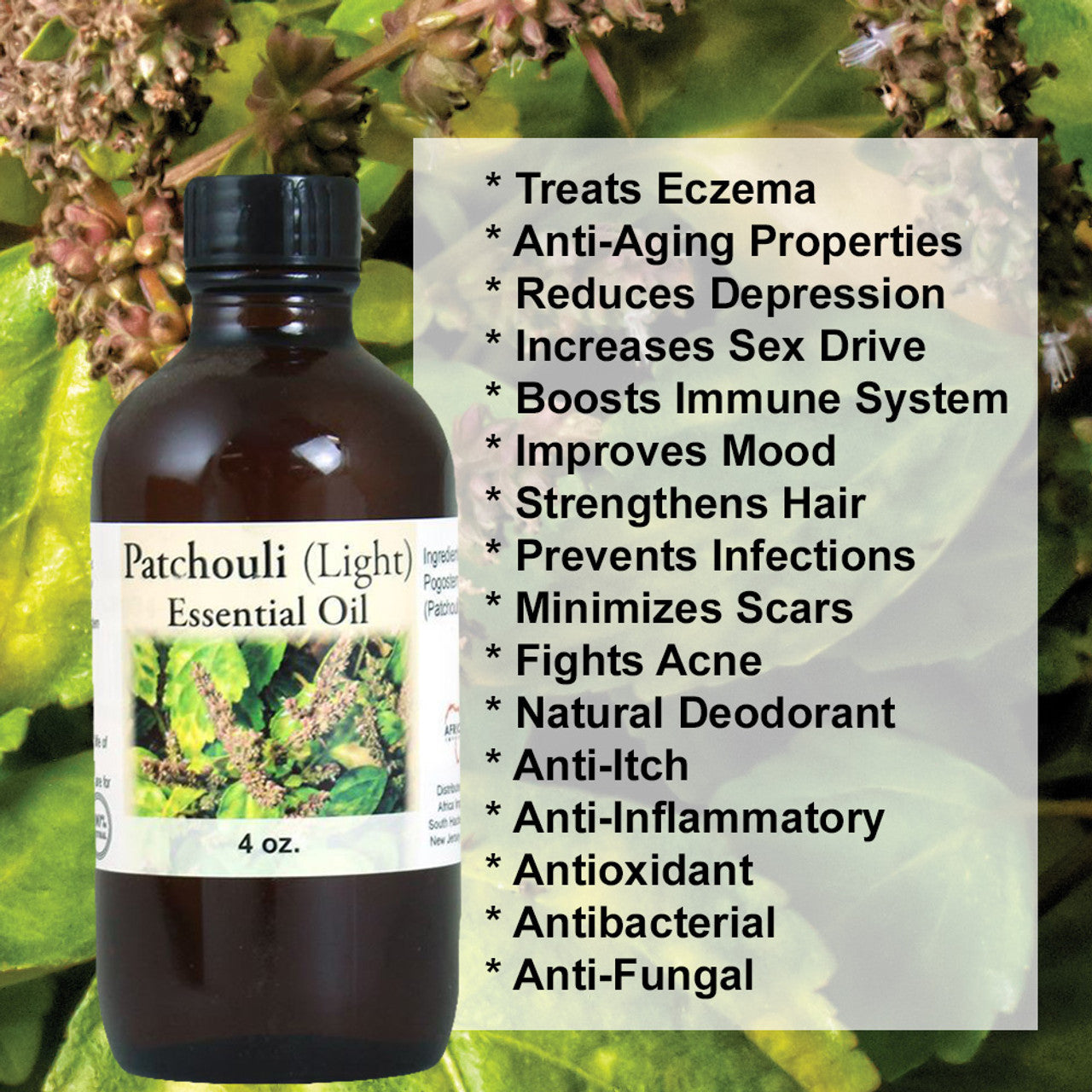 Patchouli (Light) Essential Oil