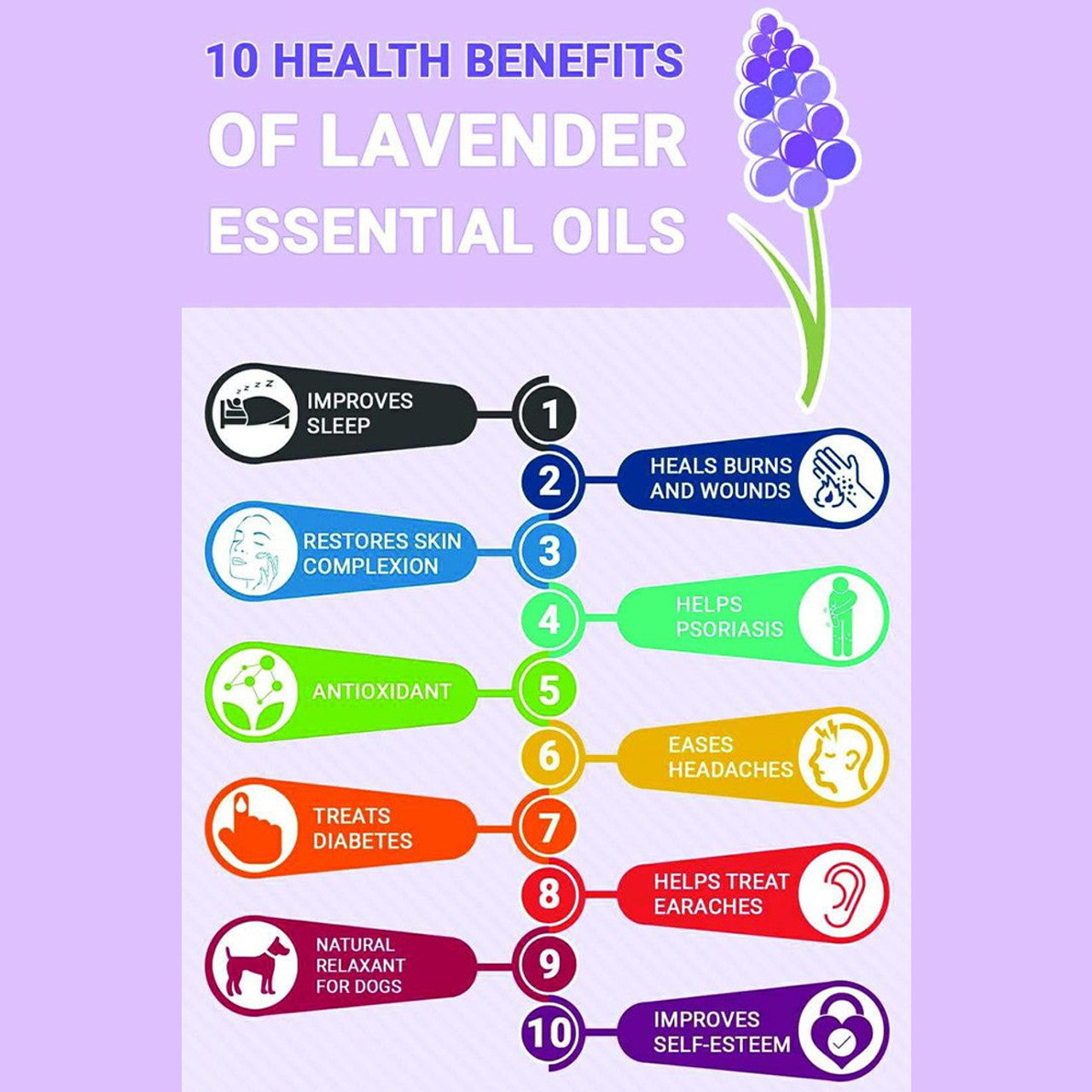Lavender Essential Oil